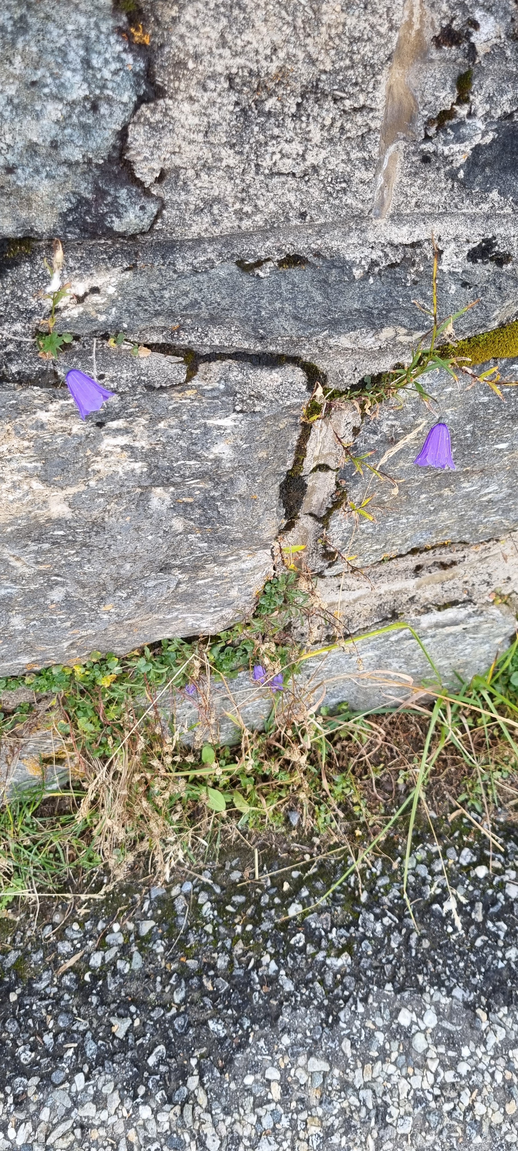 Photo n° 39 de l'avis de Raymond.a fait le 24/10/2023 à 19:44