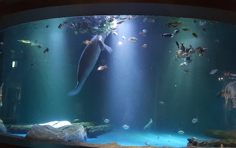 Daegu Aquarium image
