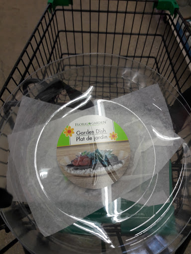 Dollar Store «Dollar Tree», reviews and photos, 15901 S Wood St, Harvey, IL 60426, USA