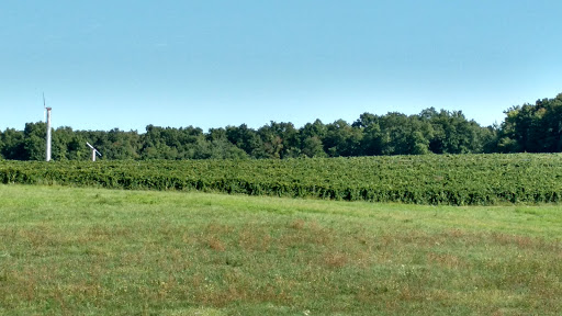 Winery «Debonne Vineyards», reviews and photos, 7840 Doty Rd, Madison, OH 44057, USA