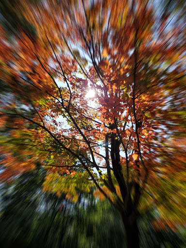 Park «Endicott Park (Town of Danvers)», reviews and photos, 57 Forest St, Danvers, MA 01923, USA