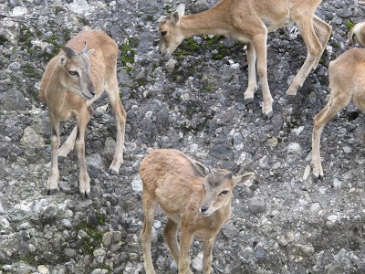 Photos of Arth-Goldau