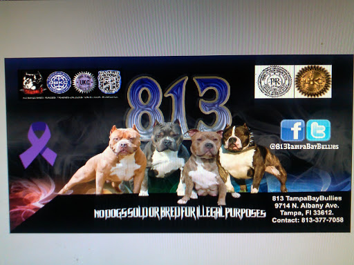 Sign Shop «Arts & Graphics Beyond», reviews and photos, 1215 Drew St #5, Clearwater, FL 33755, USA