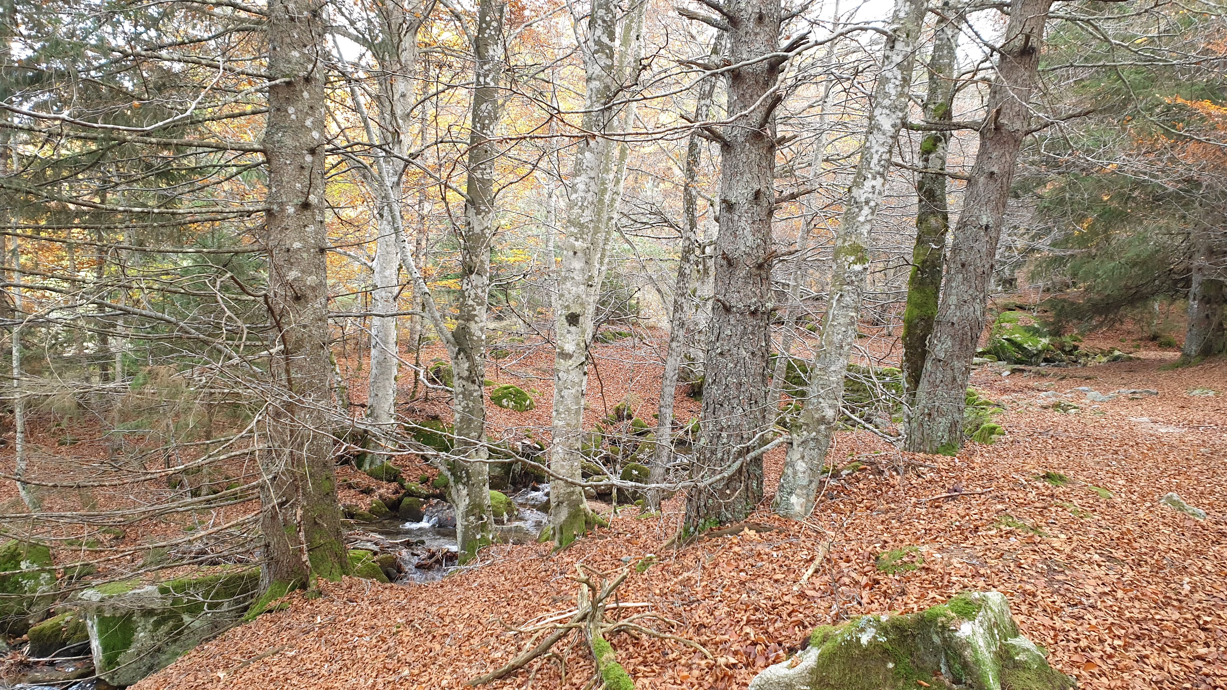 Photo n° 3 de l'avis de Jocelyne.a fait le 01/11/2019 à 15:12