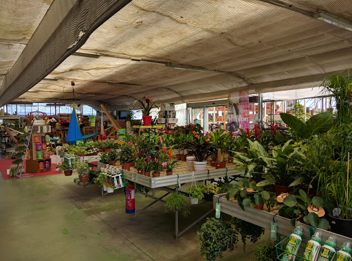 Centro de Jardinería CASTILLÓN - Barbastro
