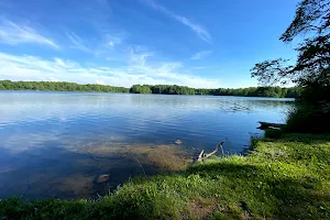 Potato Creek State Park image