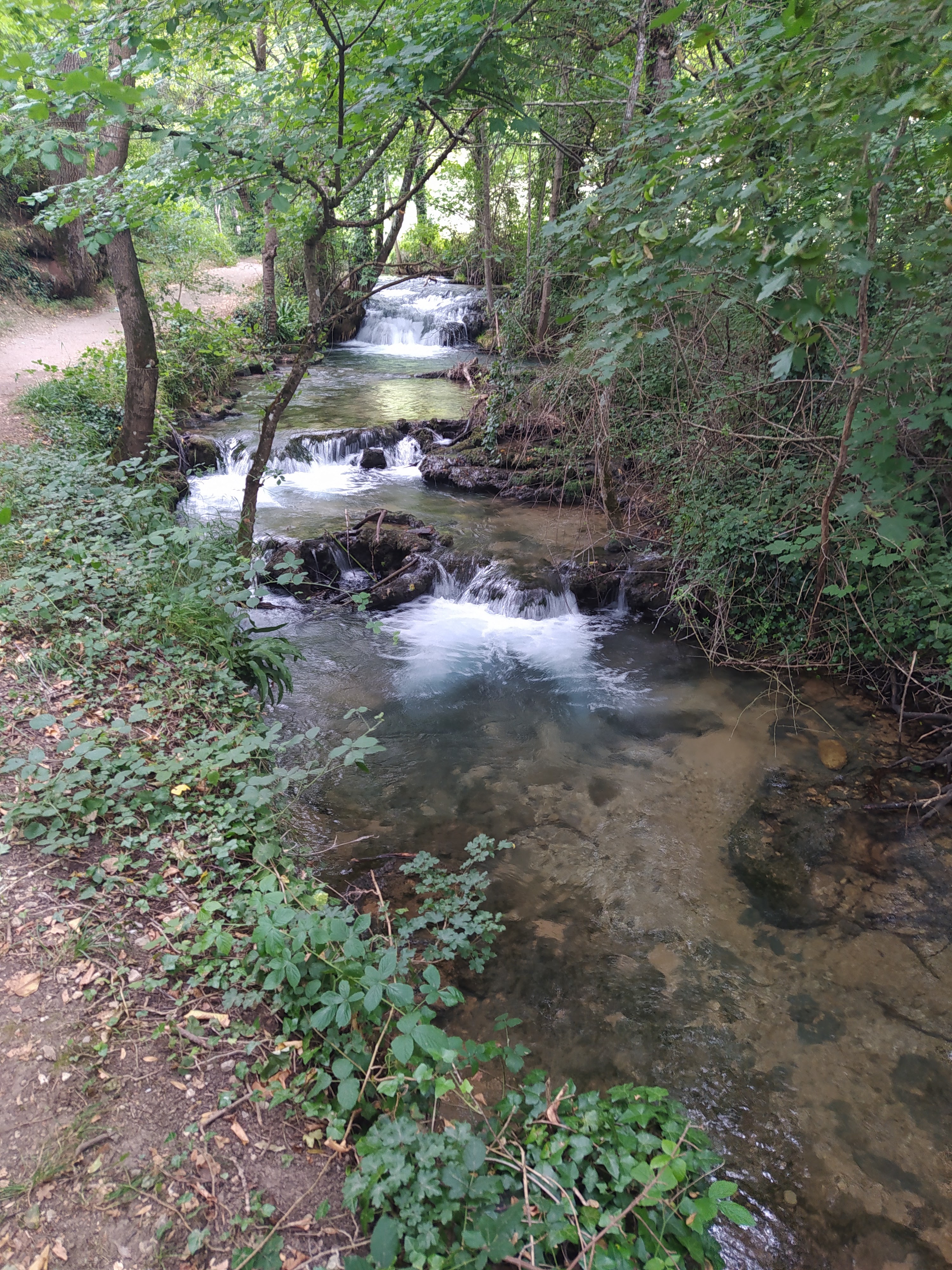Photo n° 2 de l'avis de vero.l fait le 17/07/2020 à 17:24