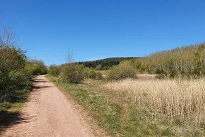 Three Lakes Shirebrook. image