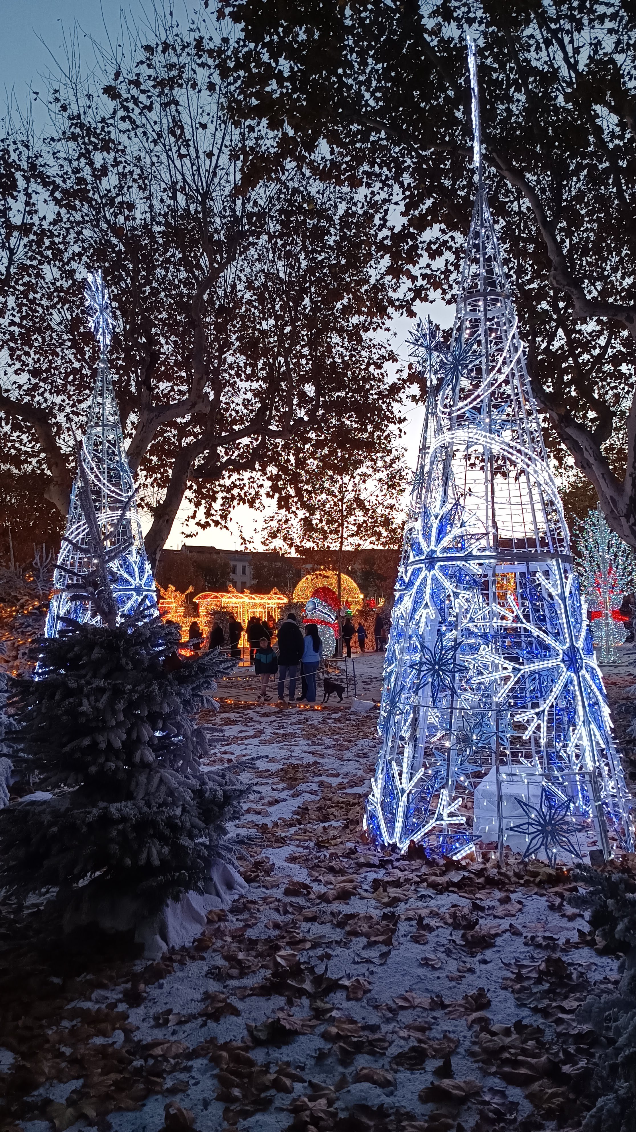 Photo n° 12 de l'avis de Jaume.� fait le 08/12/2023 à 20:50