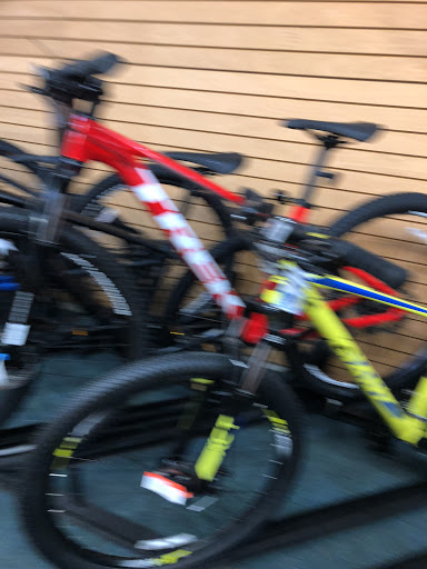 Bicycle Store «Pelham Bicycle Center», reviews and photos, 109 Wolfs Ln, Pelham, NY 10803, USA