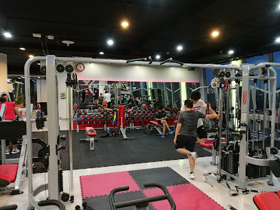Exclusive Fitness A-Link Square