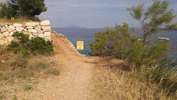 Foto von Stela beach wilde gegend
