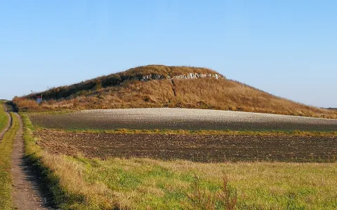 Rezerwat przyrody Przęślin image