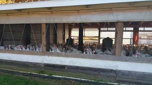Farm «Ashley Turkey Farm», reviews and photos, 25 Hillside Ave, Flanders, NJ 07836, USA