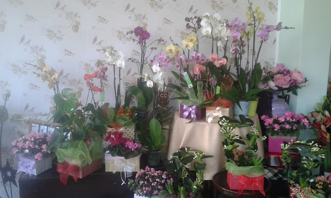 Floraria Sunflower - Florărie