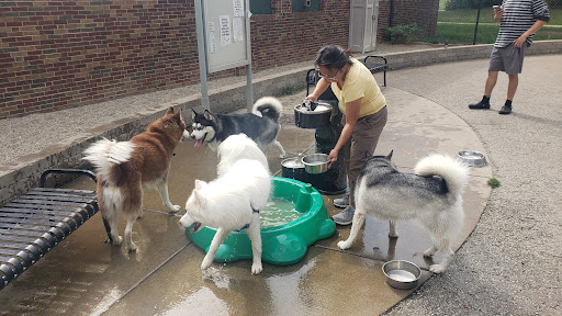 Dog Park «Portage Dog Friendly Area», reviews and photos, 4100 N Long Ave, Chicago, IL 60641, USA