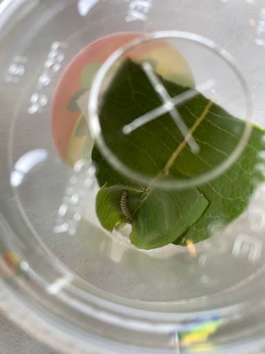 Nature Preserve «Indian Creek Nature Center», reviews and photos, 5300 Otis Rd, Cedar Rapids, IA 52403, USA