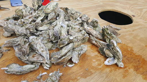 Bowling Alley «The Alley», reviews and photos, 131 Columbus St, Charleston, SC 29403, USA