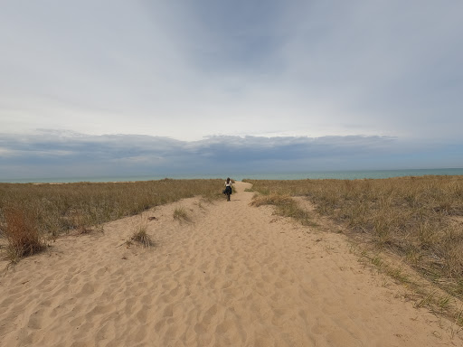 Hiking Area «Cowles Bog Trail», reviews and photos, 1618 N Mineral Springs Rd, Dune Acres, IN 46304, USA