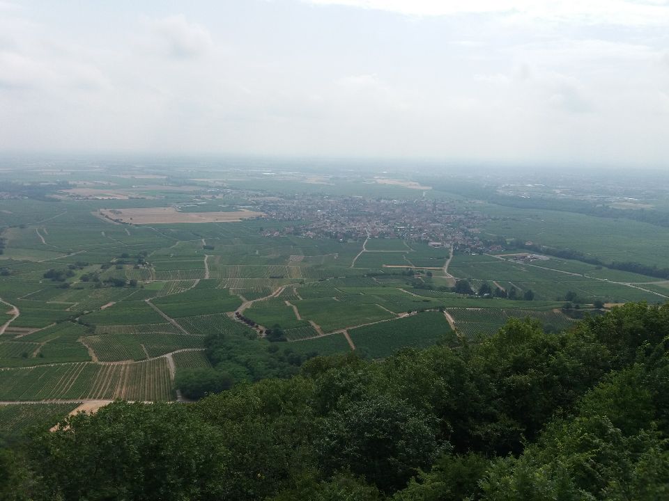 Photo n° 3 de l'avis de G.u fait le 14/12/2019 à 19:50