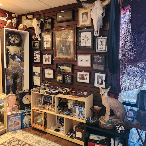 Explore waistline tattoo ideas, creative tattoo ideas in Asheville, available at Dark and Deviant Oddities