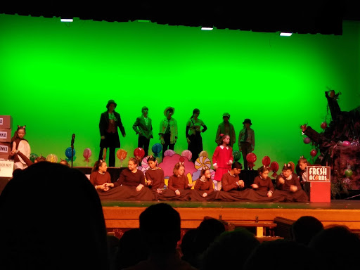 Performing Arts Theater «Cutting Hall Performing Arts Center», reviews and photos, 150 E Wood St, Palatine, IL 60067, USA