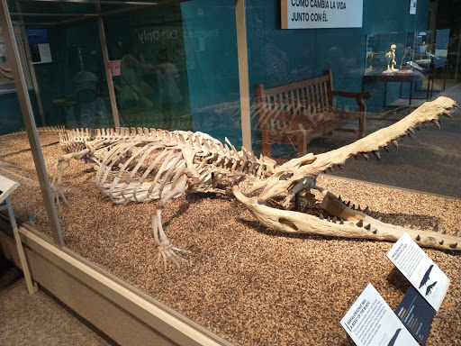 Tourist Attraction «Science Museum of Minnesota», reviews and photos, 120 W Kellogg Blvd, St Paul, MN 55102, USA