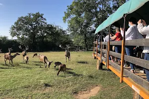 Parc Animalier, Ferme Auberge et Gîtes: Le Saint Hubert image