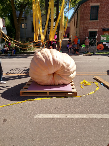 Butcher Shop «Underground Butcher», reviews and photos, 811 Williamson St, Madison, WI 53703, USA