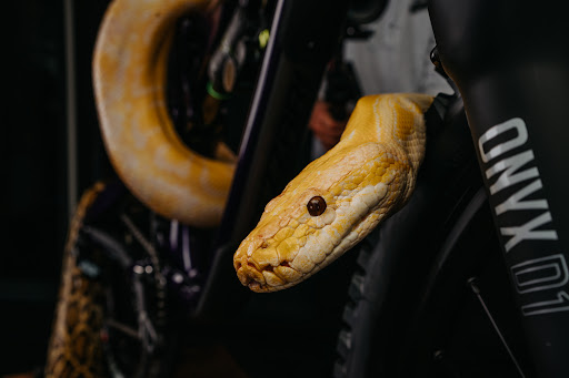 Bicycle Store «Fezzari», reviews and photos, 850 W 200 S, Lindon, UT 84042, USA