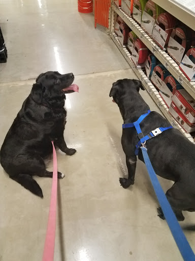 Home Improvement Store «The Home Depot», reviews and photos, 1624 E 165th St, Hammond, IN 46320, USA