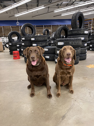 Auto Parts Store «Pep Boys Auto Parts & Service», reviews and photos, 450 Wilkes Barre Township Blvd, Wilkes-Barre, PA 18702, USA