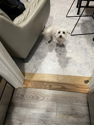 Art Museum «The Studio Museum in Harlem», reviews and photos, 144 W 125th St, New York, NY 10027, USA