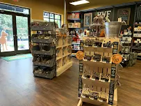 Hollywood Feed - Car repair in Charlotte, NC, Charlotte - Rated 5.0/5