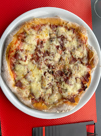Plats et boissons du Pizzeria Pizza du Faubourg à Rodez - n°2