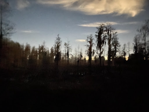 Nature Preserve «Conner Preserve», reviews and photos, 22500 FL-52, Land O Lakes, FL 34637, USA