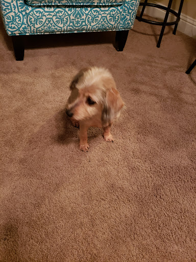 Pet Supply Store «Petco Animal Supplies», reviews and photos, 3520 Veterans Memorial Blvd, Metairie, LA 70002, USA