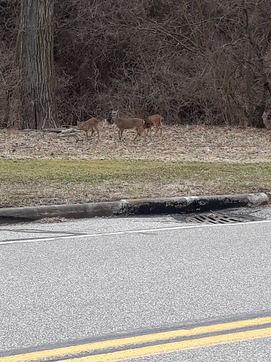 Community Center «Garfield Park Nature Center», reviews and photos, 11350 Broadway Ave, Garfield Heights, OH 44125, USA