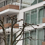 Photo n°2 de l'avis de Thorsten.o fait le 13/12/2021 à 20:12 sur le  RIVA - Das Hotel am Bodensee à Konstanz