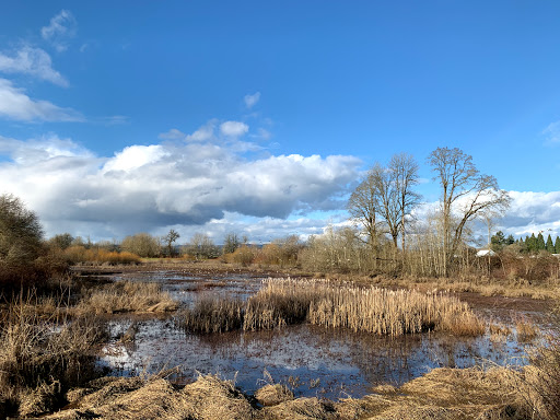 Golf Course «Sunset Grove Golf Course», reviews and photos, 41615 NW Osterman Rd, Forest Grove, OR 97116, USA