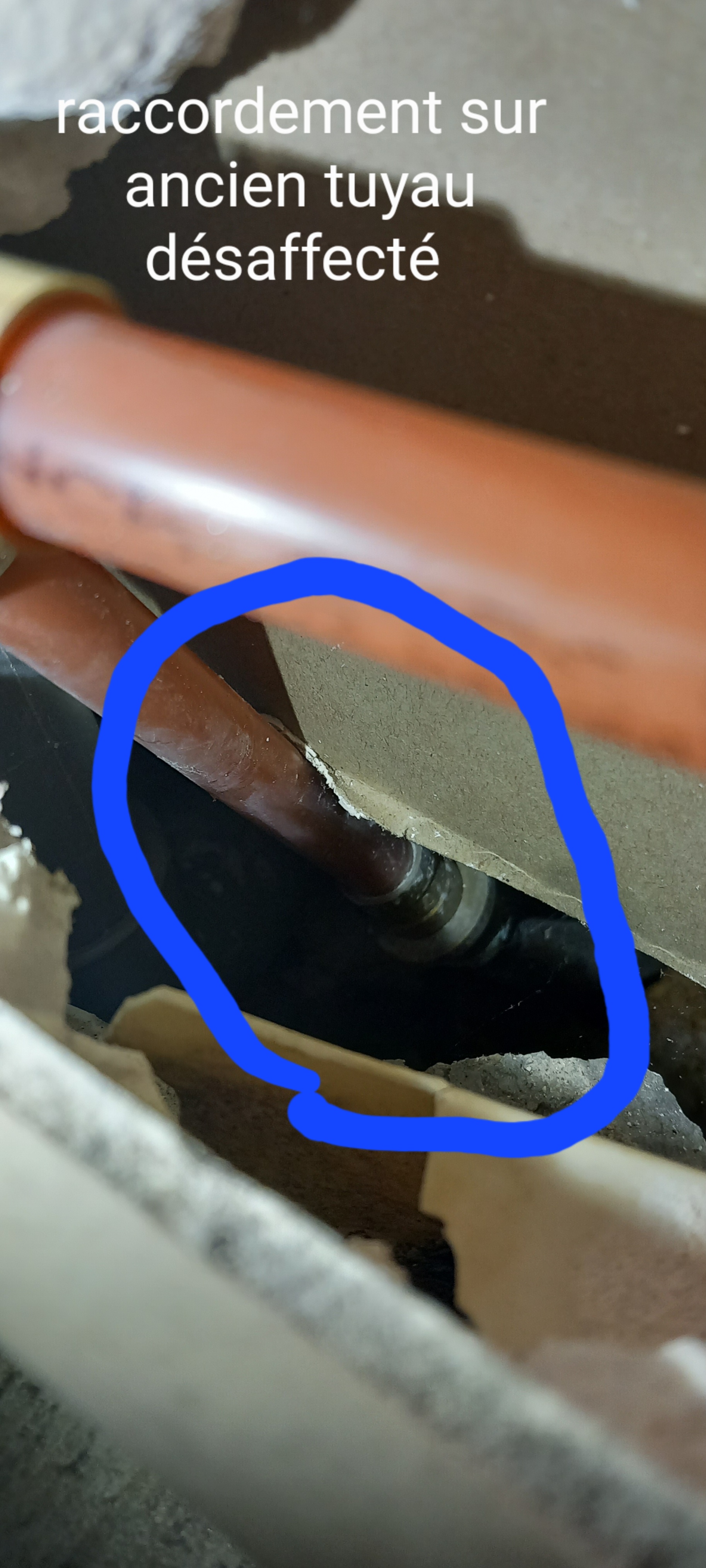 Photo n° 3 de l'avis de Hervé.e fait le 10/02/2024 à 08:44