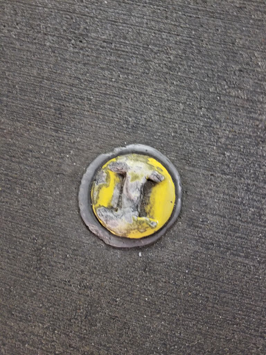 Gym «Baylor Tom Landry Fitness Center», reviews and photos, 411 N Washington Ave #1900, Dallas, TX 75246, USA