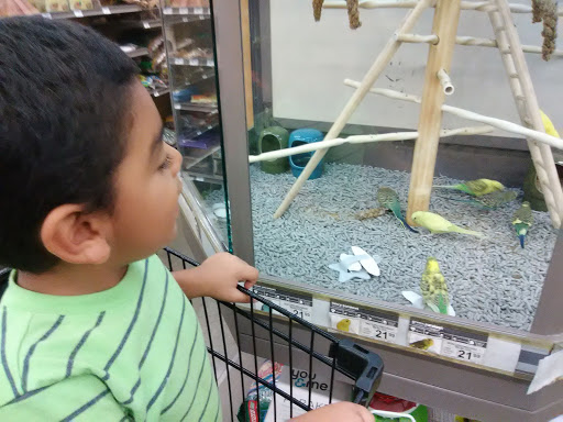 Pet Supply Store «Petco Animal Supplies», reviews and photos, 3426 Highland Ave B, National City, CA 91950, USA
