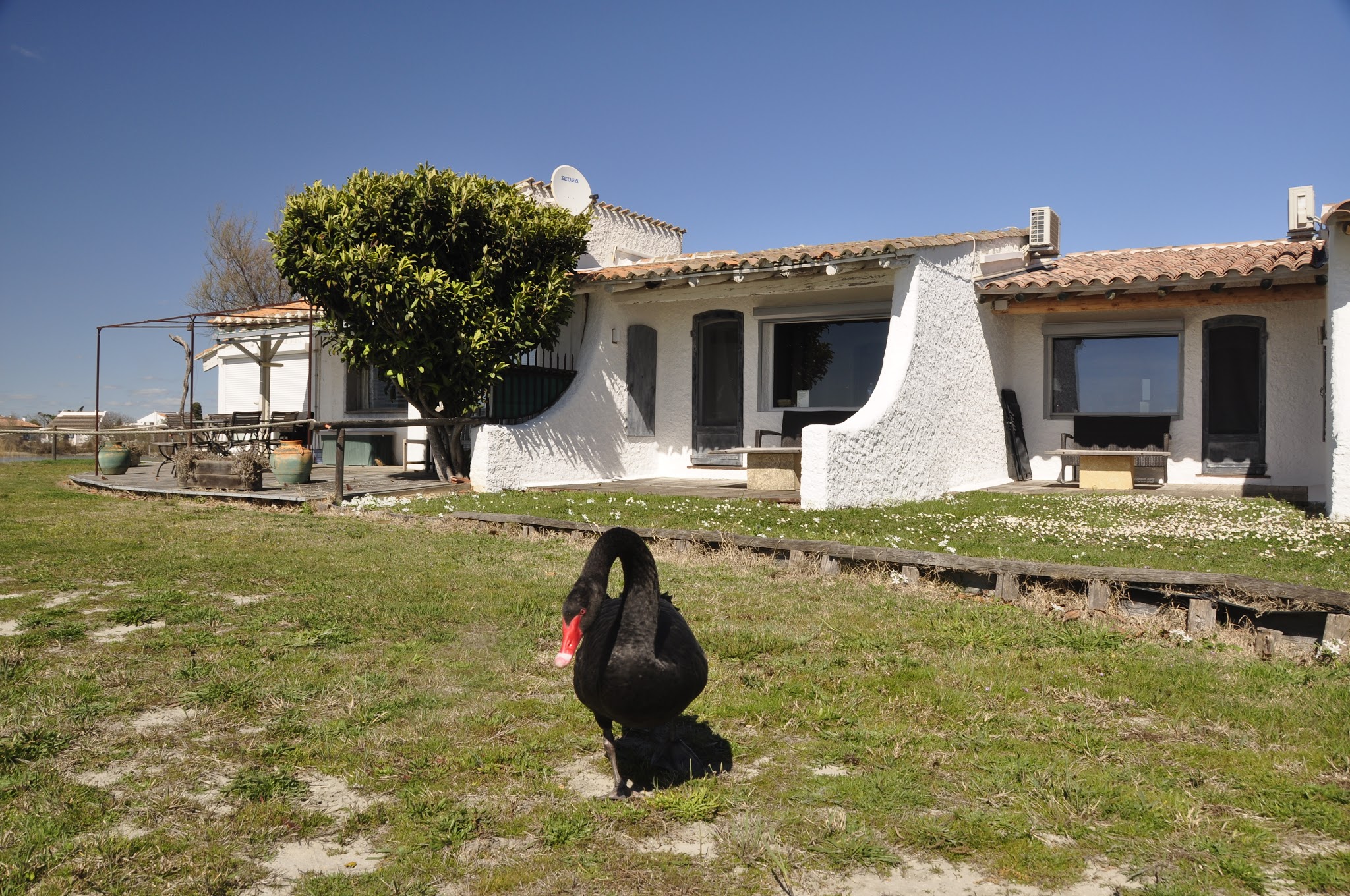 Photo n° 1 de l'avis de B. fait le 06/04/2018 à 14:45