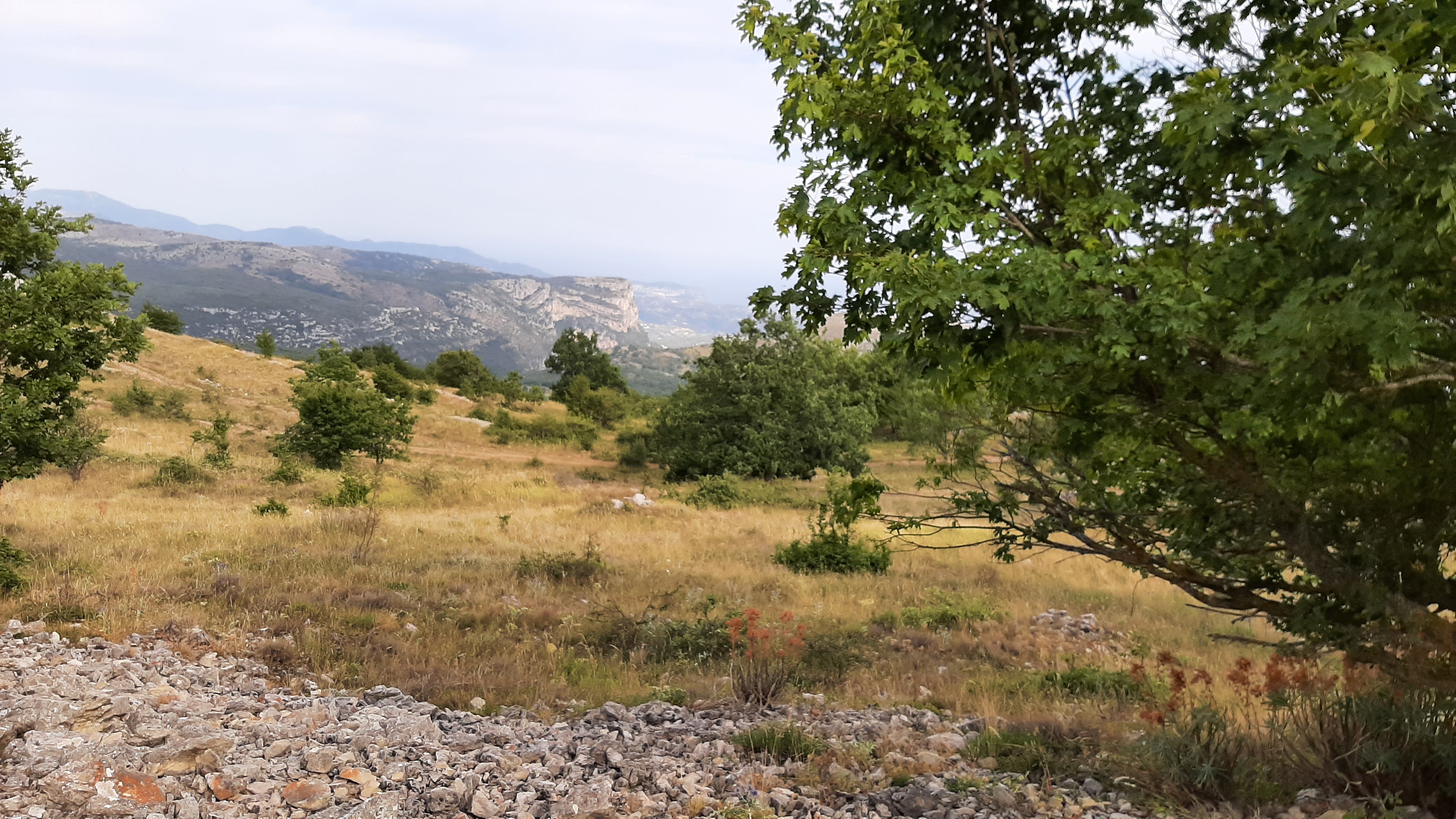 Photo n° 4 de l'avis de Philippe.a fait le 03/08/2021 à 18:39