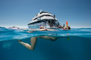 Down Under Cruise and Dive image