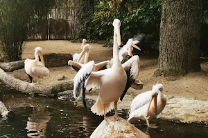 Pelican Walk through image