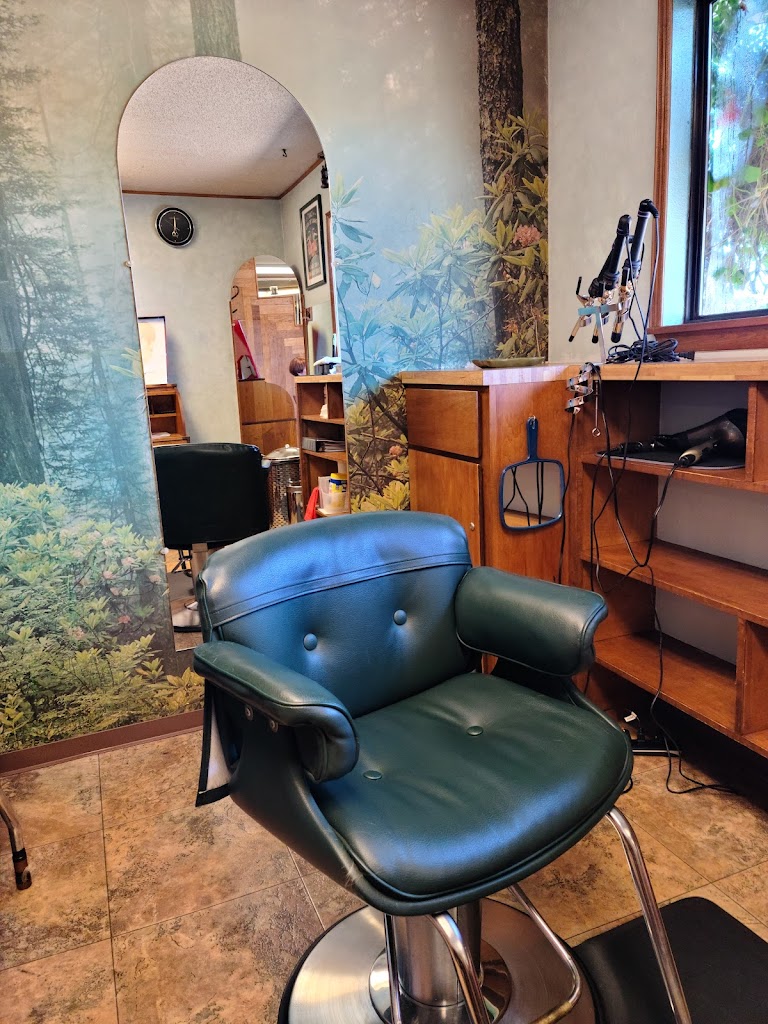 Hair Circuit Colour & Design Studio 97415