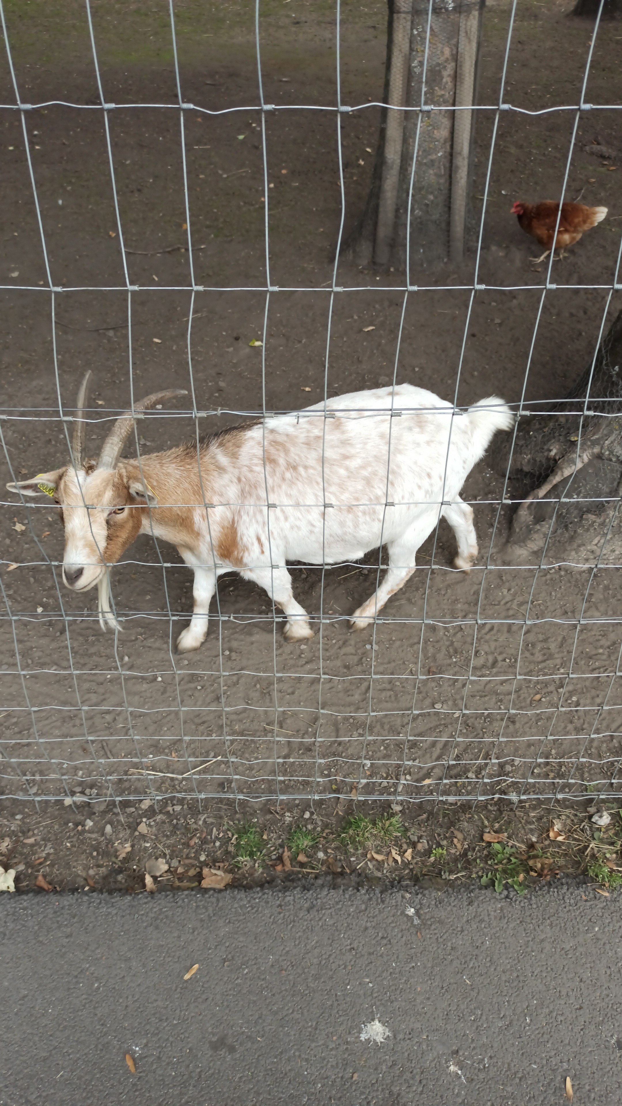 Photo n° 2 de l'avis de Perlamary.T fait le 11/10/2022 à 17:16