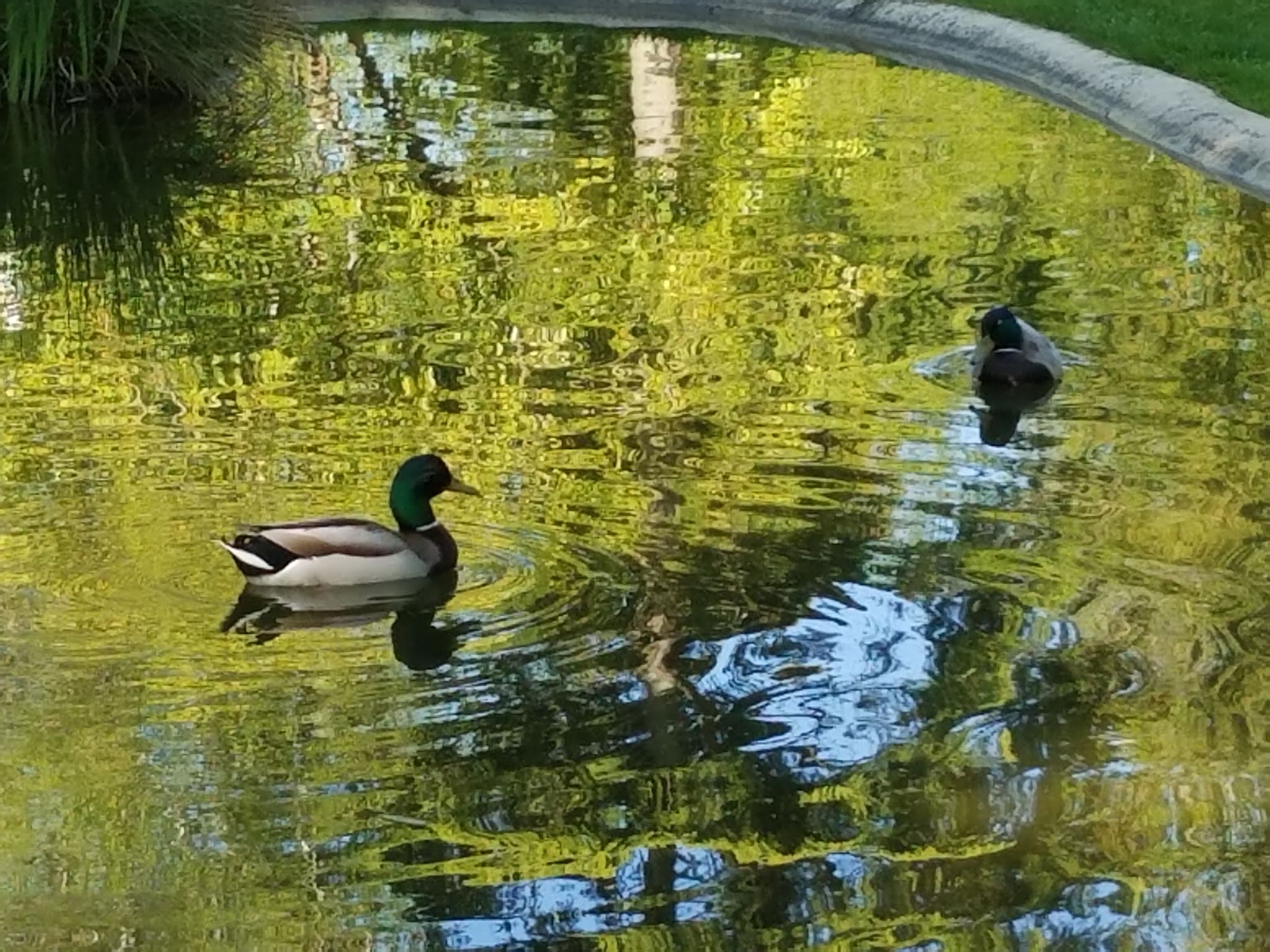 Photo n° 19 de l'avis de Elo.i fait le 14/09/2019 à 15:15